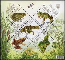 Frogs (canceled)