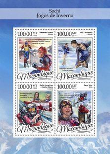 Winter Games in Sochi