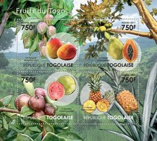 Fruits of Togo