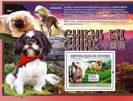 Китайські собаки