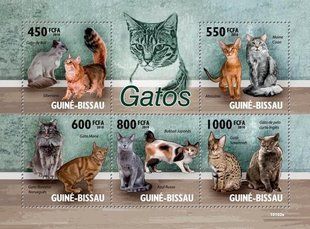 Cats