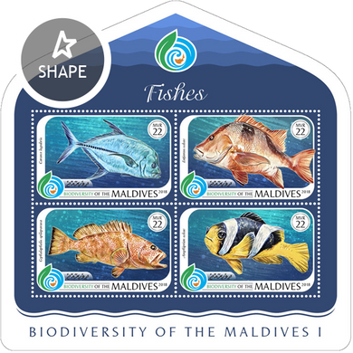 Биоразнообразие Мальдив