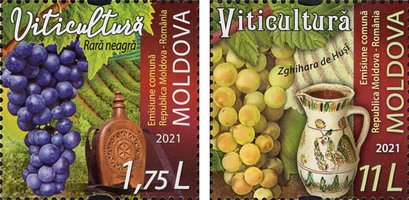 Viticulture. Republic of Moldova - Romania