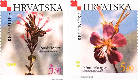 Croatian flora