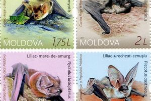Краснокнижные летучие мыши теперь на почтовых марках Молдовы