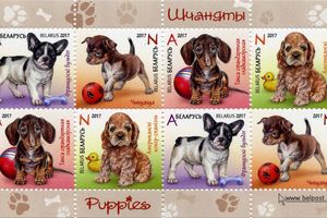Породистые щенки на почтовых марках Беларуси