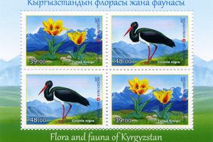 Природные сокровища Киргизии. «Кыргызмаркасы» выпустил почтовые марки «Фауна и флора»