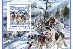 Сибирский хаски на почтовом блоке «Ездовые собаки»