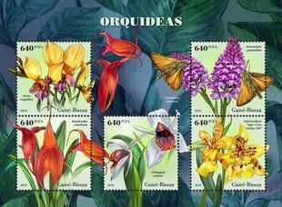 Orchids