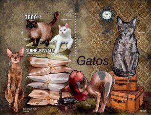 Cats