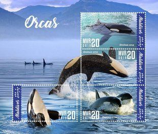 Killer whales