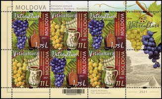 Виноградарство. Республіка Молдова - Румунія