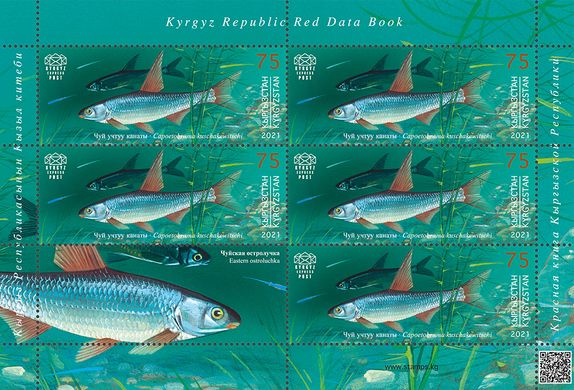 Красная книга. Рыбы