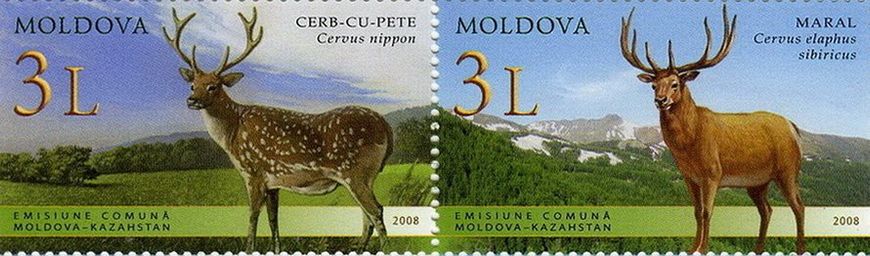 Moldova-Kazakhstan Deer