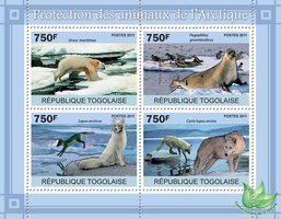 Защита животных в Арктике