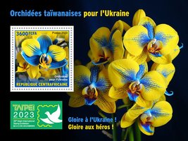 Taiwanese orchids for Ukraine