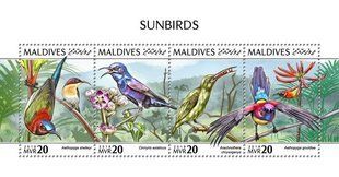 Sunbirds