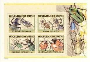 Insects