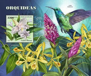 Orchids