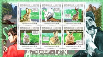 Астрологический знак кролика