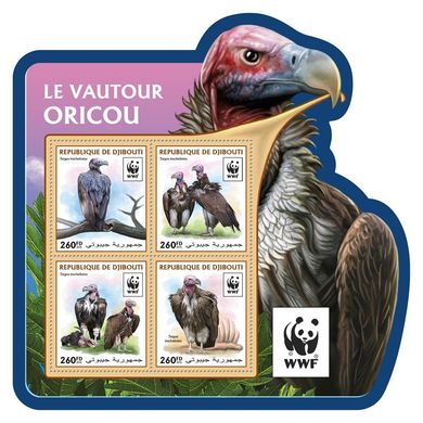 WWF Vulture