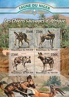 Дикие собаки Африки