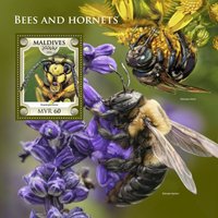 Bees and hornets