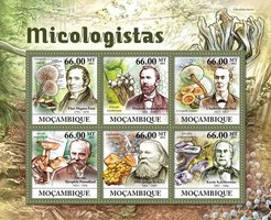 Mycologists. Fungi