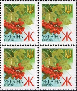V стандарт Ж Гроно калини