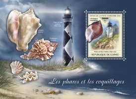 Lighthouses and shells