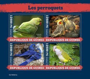 Parrots