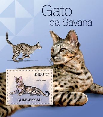 Savannah cats