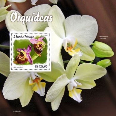 Орхідеї