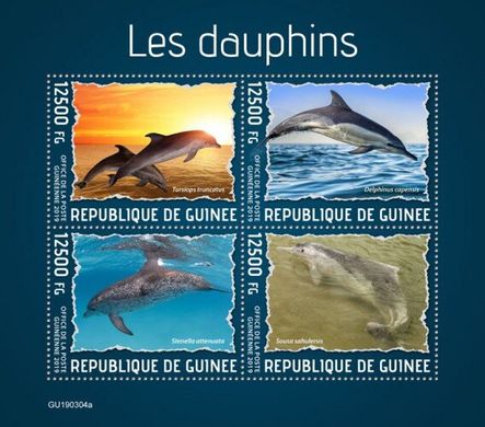 Дельфины
