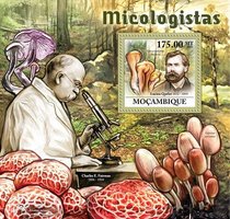 Mycologists. Fungi