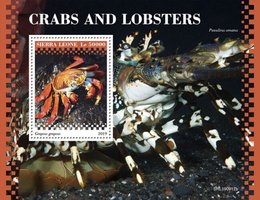 Crayfish and lobsters