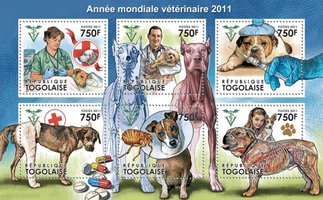 Year of Veterinary Medicine