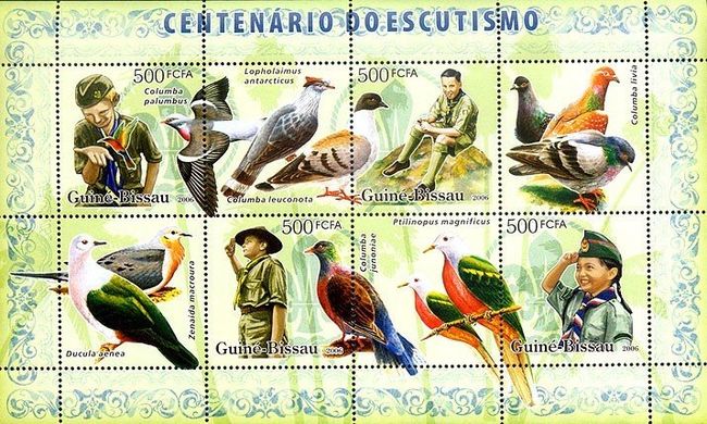 Centenary of scouts. Pigeons