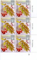 2015 0,05 VIII Definitive Issue 15-3597 (m-t 2015-ІІ) 6 stamp block RB3
