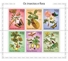 Insects and flora