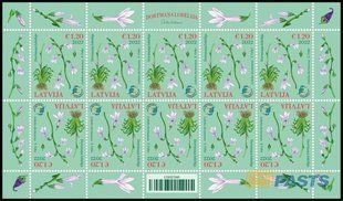 Лобелія Дортманна