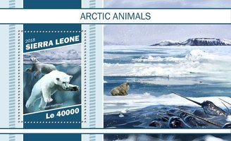 Арктические животные