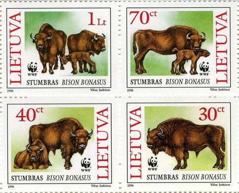 WWF European bison