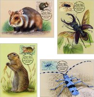 Insects and rodents