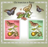 Insects and flora
