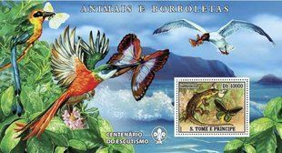 Butterflies. Frogs. Birds. Spiders