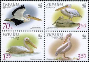 WWF Pelicans