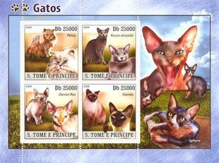 Cats