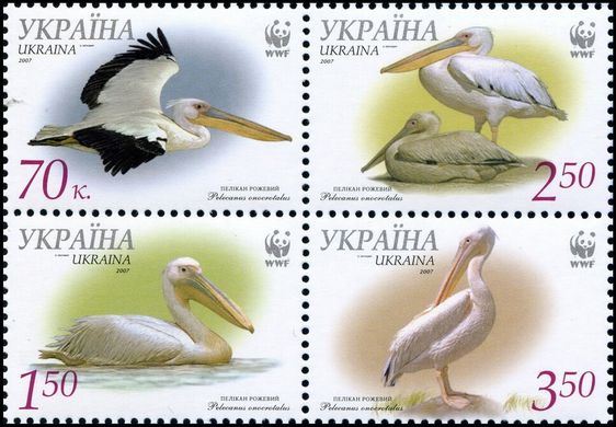 WWF Пеликаны