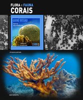 Корали